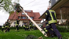 2023 Maibaum stellen (8)